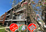 1 Bed 1 Bath  |  5727 S Kenton #1S  |  Midway