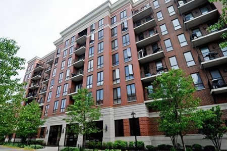 2 Bed 2 Bath  |  343 W Old Town #409  |   Old Town