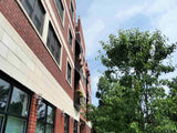 2 Bed 2 Bath  |  3705 N Kedzie #408  |  Irving Park