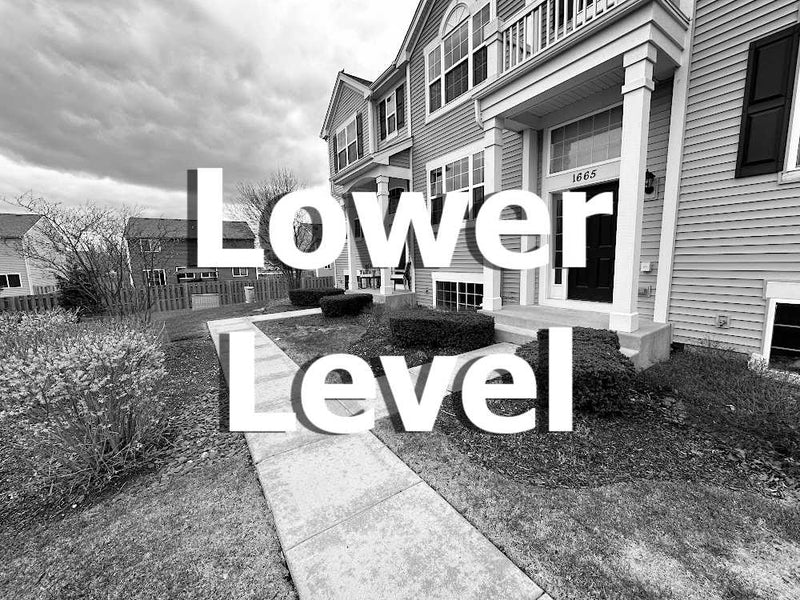 3 Bed 2 1/2 Bath + BONUS Rm  |  1665 Ruby Dr  |  Pingree Grove