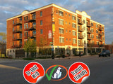 8255 Skokie Blvd  |   Skokie  |   1 & 2 Bed Apts