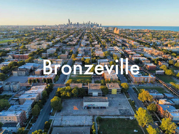 Bronzeville, Chicago  |  2, 3 & 4 Bedrooms