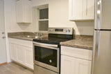 1511 N California Ave., Chicago  -  Five units